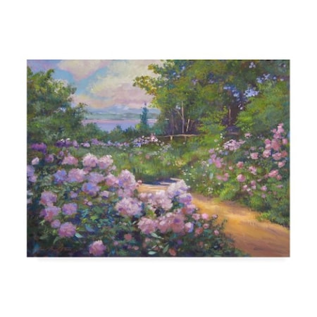 David Lloyd Glover 'Beach Garden Impressions' Canvas Art,35x47